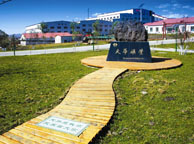 普洱天华矿业集团