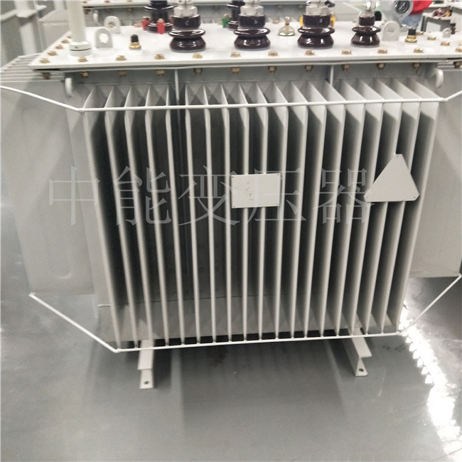 普洱S20-800KVA变压器