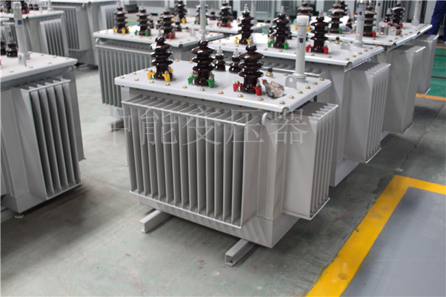 普洱S22-250KVA/10KV变压器